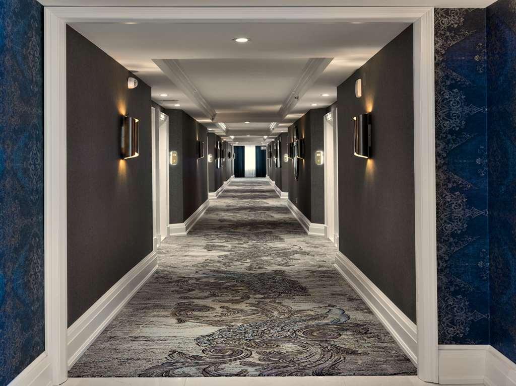Chateau Vaudreuil Bilik gambar A carpet in a hotel